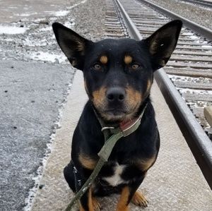 Meet your Posher, Erin